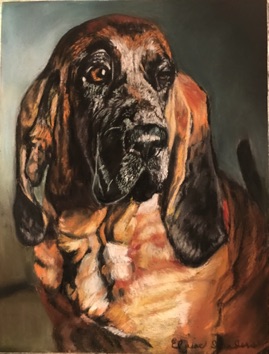 Bloodhound 9x12
Original $250